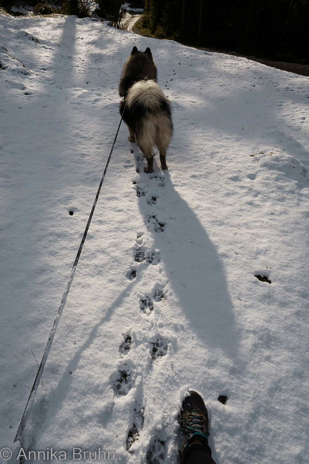 Schnee, Spaziergang!
